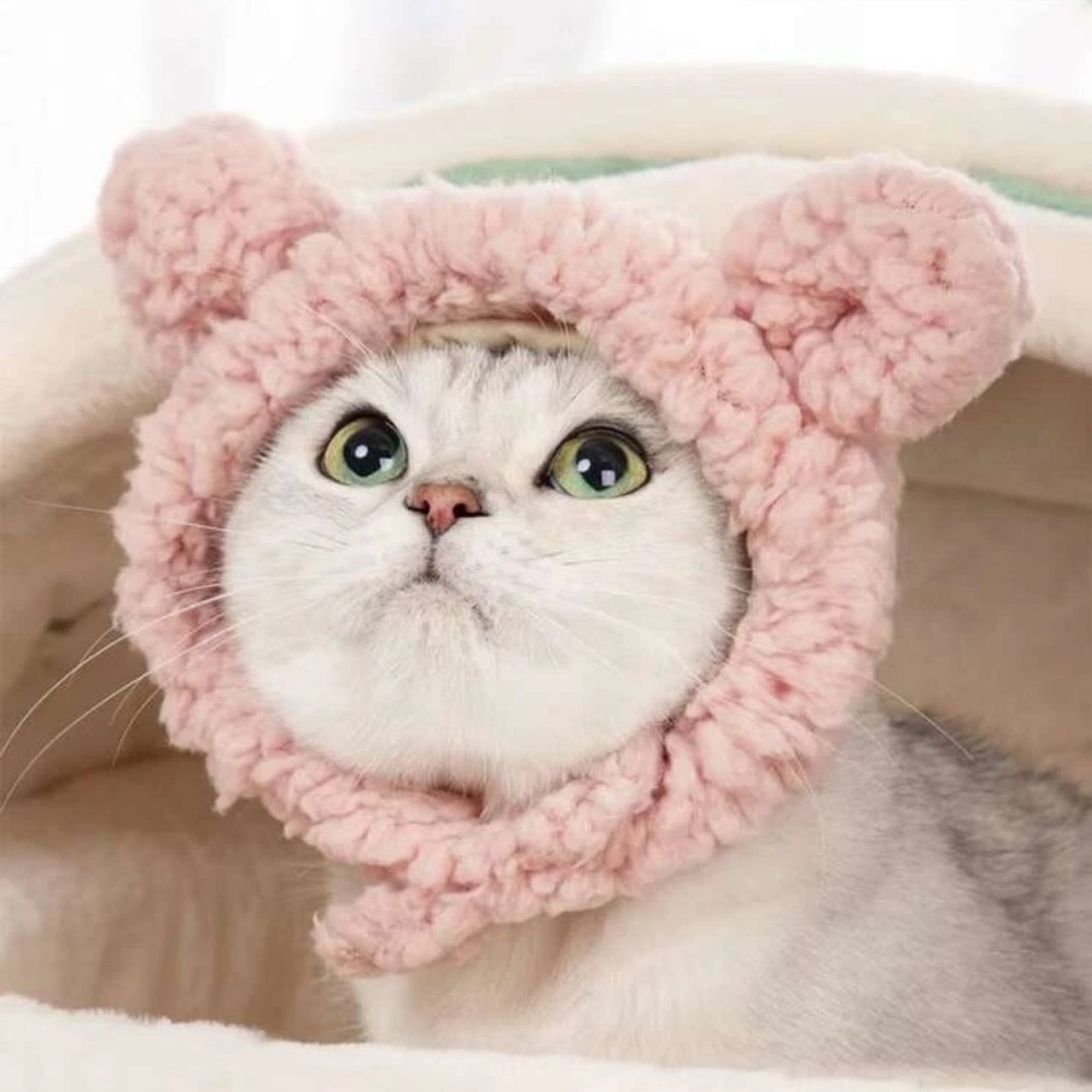 Pet ear design